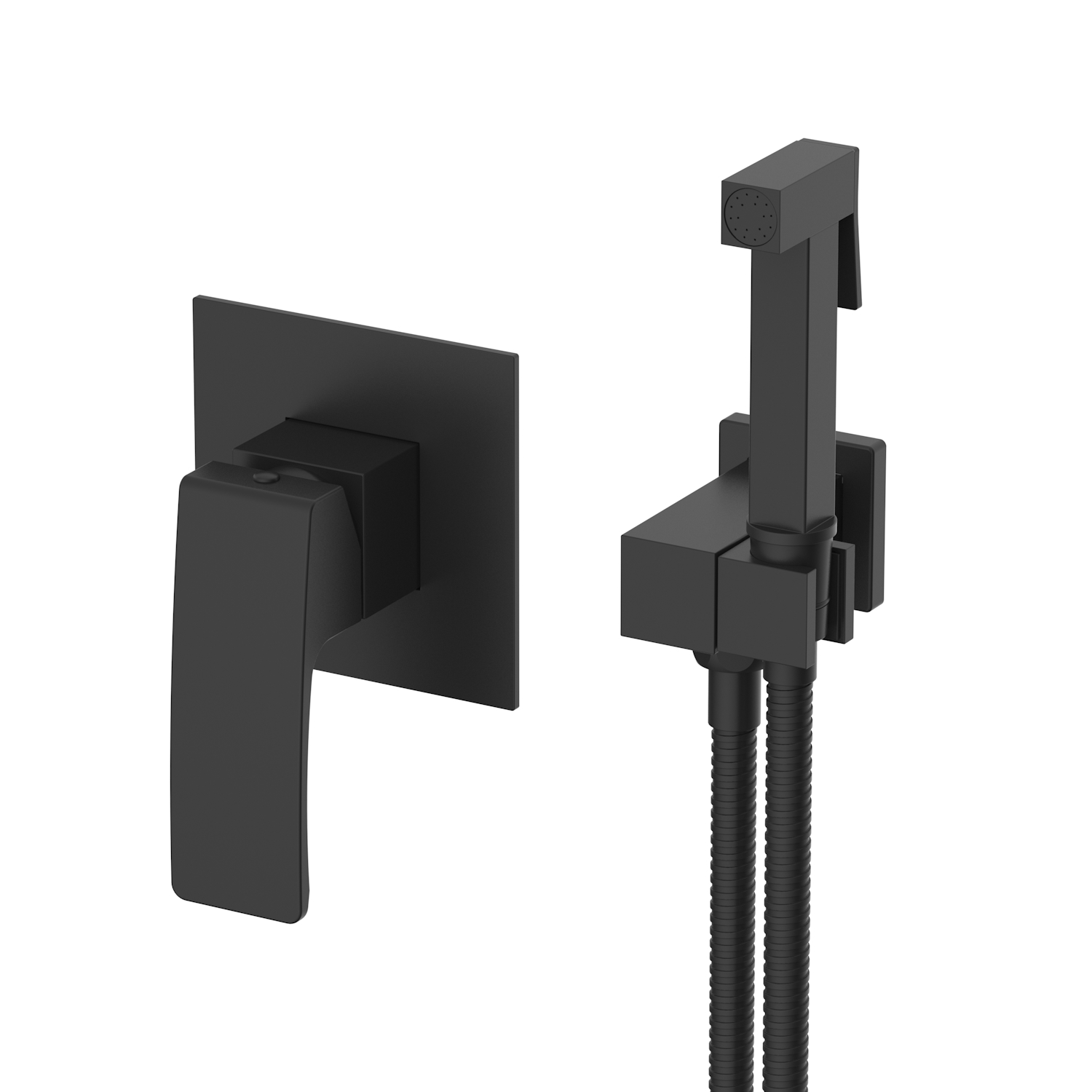 Смеситель Raglo с гигиеническим душем встраиваемый, черный (R01.53.06)