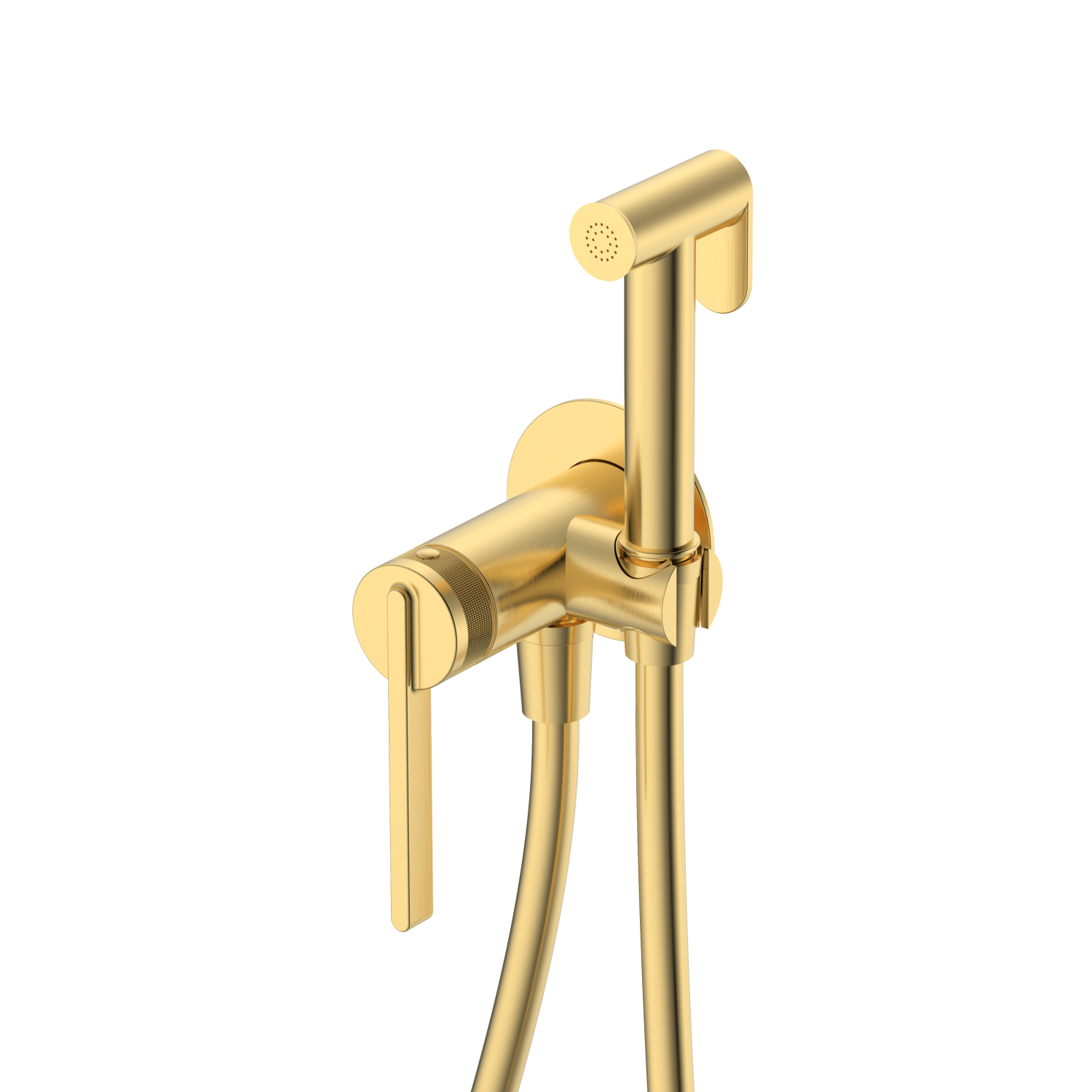 Гигиенический душ DQ Bonn встраиваемый (DA1704507) - фото 1