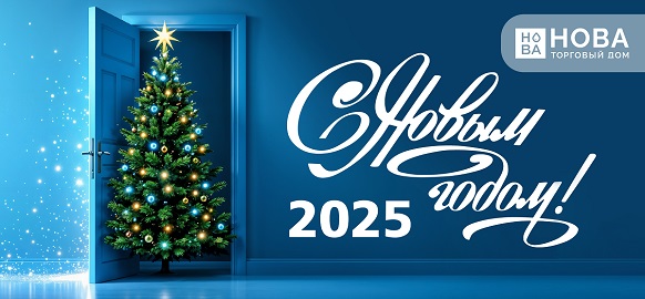 С наступающим Новым 2025 Годом!