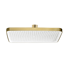 Лейка душевая верхняя Raglo тропический душ 340*220мм пластик/силикон, сатин золотой (R451.52.03)