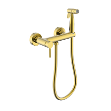 Смеситель Raglo с гигиеническим душем настенный, сатин золотой (R20.51.03)