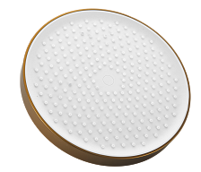 Лейка верхнего душа BELZ D=255мм, брашированное золото (BD01-5)