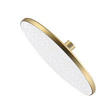 Лейка душевая верхняя Raglo тропический душ ∅250мм пластик/силикон, сатин золотой (R451.50.03)