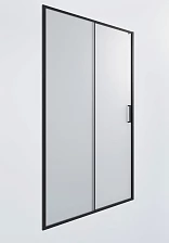 Душевая дверь Timo TD-120/03F-6, раздвижная 1950*1200, стекло матовое 6 мм (T02)