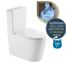 Унитаз-компакт безободковый торнадо DQ Grimm 700*390*880мм (DT1387516)