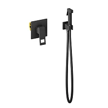 Смеситель встроенный с гигиеническим душем Timo Briana (7189/03SM)