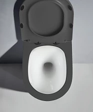 Унитаз подвесной безободковый (торнадо) DQ Rhein.Bach 500*360*350мм, сиденье микролифт, серо-белый (DT1476506)